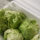 법이네 야채가게 이미지