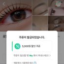 로얄브로우