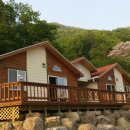 곰골스카이 이미지