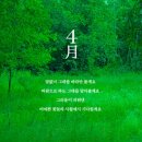 푸른숲세탁소 이미지