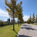 올리스24 명지점 이미지