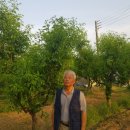 왕산1리 이미지