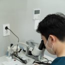 매일기공소 이미지