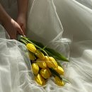 웨딩이야기11 :: 압구정 메이든 스튜디오 웨딩촬영 후기 / 촬영셀렉을 위한 팁(소품, 부케)