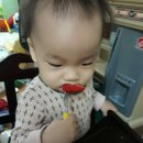 시우로2 이미지