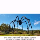 [미술전]250921 국제갤러리 전시 후기