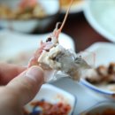 한림환승정류장 이미지