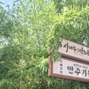 암소고개로 | 대구수성구맛집 수성시장 대구은행본점 밥집 대구곰탕맛집 사대부암소곰탕 본점