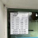 한택로 | 용인 한택식물원 부모님 아이들 방문 실망 가을 꽃구경 후기 유모차 가능 모기 주의