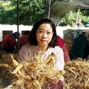 정수 홍삼원