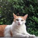 능동주민센터 이미지