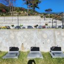 농협 모현지점 앞 이미지