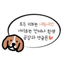 분당 이매 육회 맛집 &lt;우경한우정육식당&gt; 저녁에도 식사가능