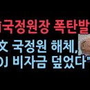 이병기 前국정원장 입열었다 문정권 국정원 해체 충격 이유...김대중 비자금 수사 덮었다 이미지