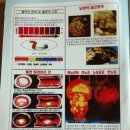 보건한양의료기 | 요즘 방사능 때문에 생선 먹어도 될까? 고민이시죠~