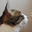 방배로 87_ 이미지