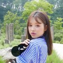 숲의 아이 이미지