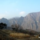 정선고성리산성 Daum카페