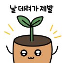 봄앤봄 플라워 카페 이미지