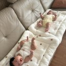 세화로134번길 | 코코마벨 범퍼침대 내돈내산 신생아 실사용 후기