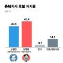 [6·1 대전·충남·충북 여론조사] 이장우 43.4%-허태정 39.6%', 양승조 46.0%-김태흠 39.6% 이미지