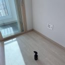 영진행복아파트경로당 | 행복주택 새집증후군 먼지다듬이 퇴치 집먼지벌레 몽땅 해버림