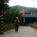 무수막교 이미지