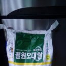 메뚜기 철원오대쌀 10kg 이미지