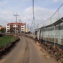 하모리 지석묘 이미지