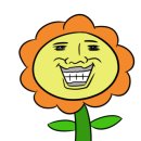 파크드