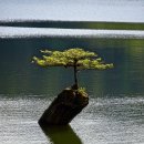 방문농장 이미지