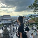 맛나정식반찬 | 9월 오사카여행 : 한여름이세요?… 교토 당일치기 버스투어 다녀온 날 (여행한그릇투어)