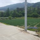 무풍면010 이미지