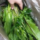 광준농장 이미지