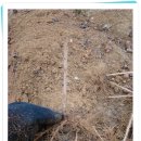 장성수 농장 이미지