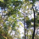 율리 휴양촌 이미지