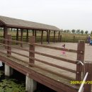 비봉인공습지 이미지