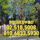 강남엘공인중개사사무소 이미지