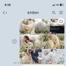 에디피아 이미지