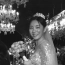 웨스턴베니비스 이미지