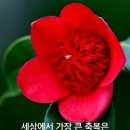 즐거움