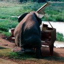 유필학원 이미지