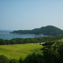 금두꺼비 이미지