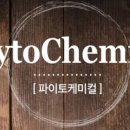 내제 이미지