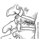 한창한방병원 이미지