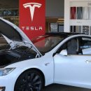 테슬라코리아유한회사 이미지