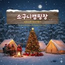 스톤엑스 캠핑장 | 🌌 홍천 호수뷰 별보기 캠핑장 BEST 4 : 낭만 가득한 밤하늘✨
