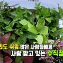 식물병원초록에서