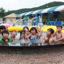 진양호캐리비안 이미지