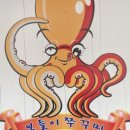 보들이쭈꾸미 이미지